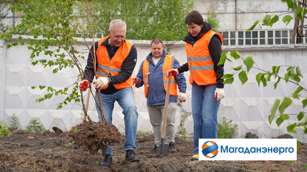  Всем стихиям назло 